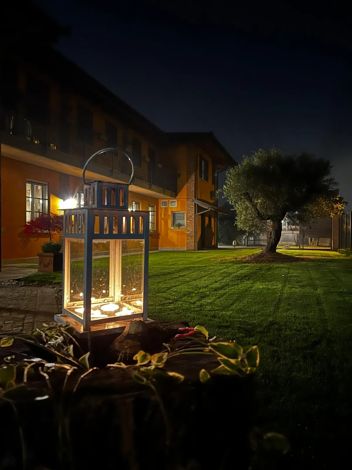 La vita dell'agriturismo — foto 2 di 7