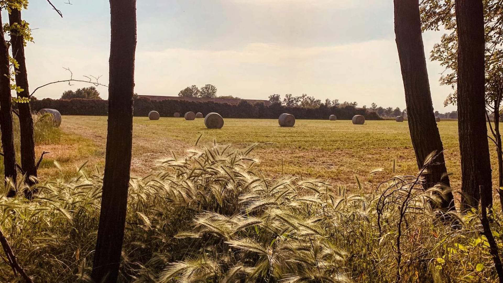 I campi della campagna intorno all'agriturismo Il Fontanile